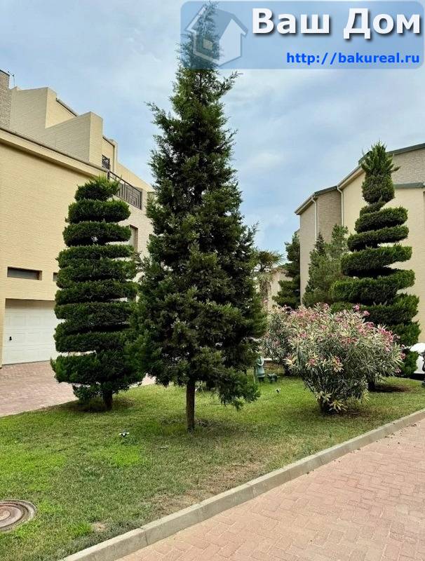grand park shixov